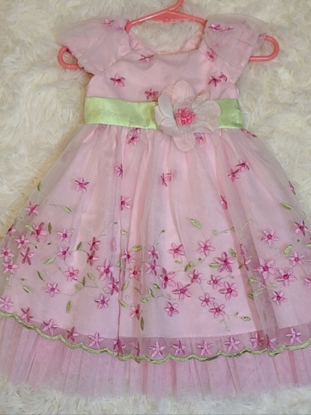 Jona Michelle Pink Green Embroidered Tulle Special Dress Floral Accents 12 Mo. - Picture 9 of 9